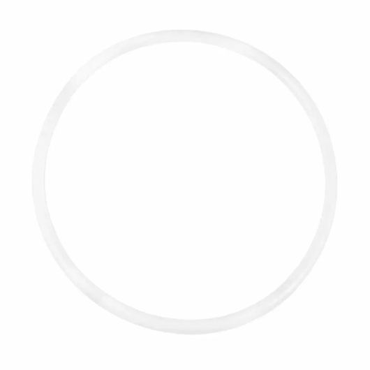 Прокладка уплотнительная для корпуса Big Blue ПРОЗРАЧНЫЙ